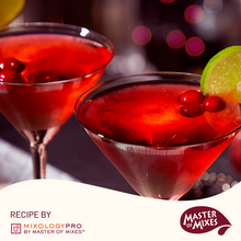 Master of Mixes Cosmopolitan Drink Mixer