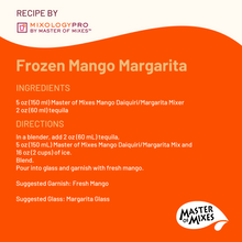 Master of Mixes Mango Daiquiri / Margarita Drink Mixer