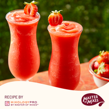 Master of Mixes Strawberry Daiquiri / Margarita Lite Drink Mixer