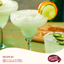 Master of Mixes Margarita Lite Drink Mixer