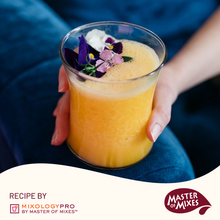 Master of Mixes Mango Daiquiri / Margarita Drink Mixer