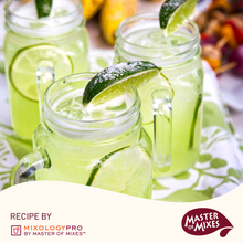 Master of Mixes Margarita Drink Mixer