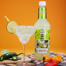 Master of Mixes Margarita Drink Mixer