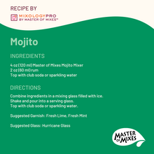 Master of Mixes Mojito Drink Mixer