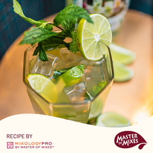 Master of Mixes Mojito Drink Mixer