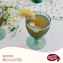 Master of Mixes Whiskey Sour Drink Mixer